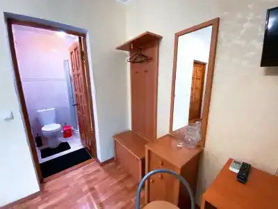 Кипарис - 41