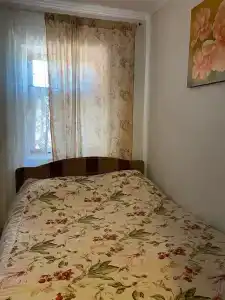 Подсолнух - 55