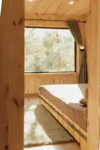 Магия леса - 134