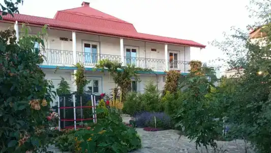 Дельфи - 67