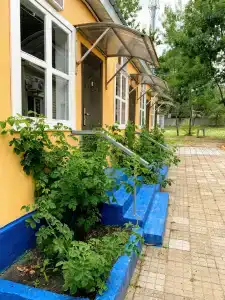 Лаванда - 64