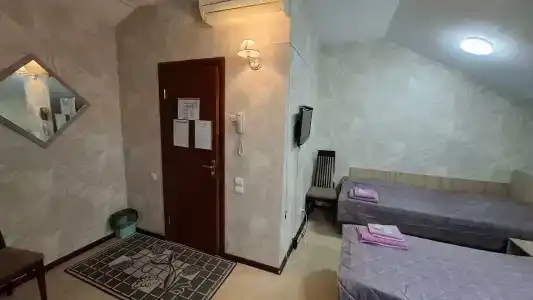 Спутник - 80