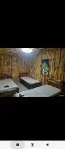 Львиное сердце - 28