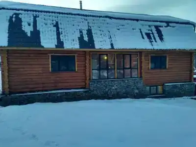 Львиное сердце - 20