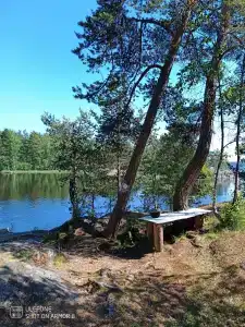 Парк Ладога - 60