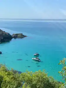 Шафран - 54