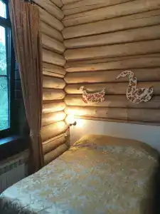 Онежский петроглиф - 85
