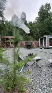 Шепот леса - 50