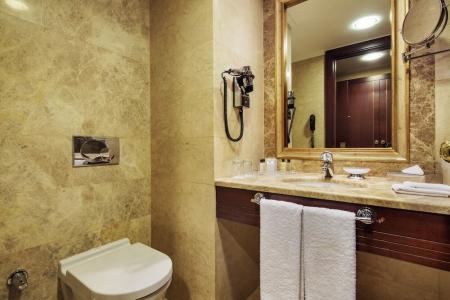 Crowne Plaza Istanbul - Old City, an IHG - 103