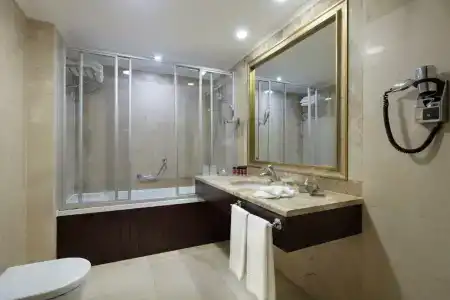 Crowne Plaza Istanbul - Old City, an IHG - 113