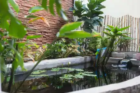 Ark Bar Beach Resort - 45