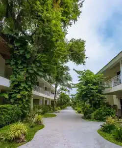 Ark Bar Beach Resort - 65