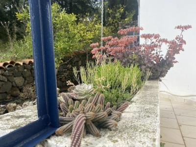 Naturella Apart - 357