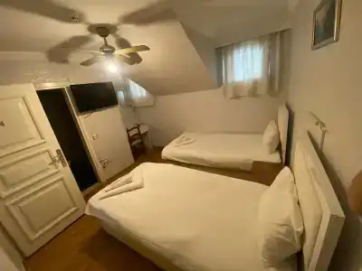 Antique - 223