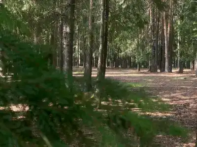 Солониха - 65