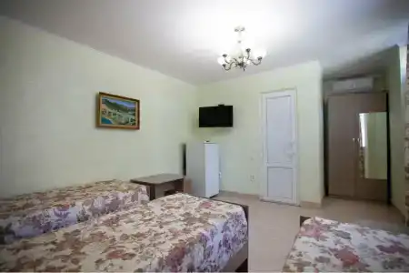 Алмаз - 106