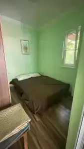 Бородача - 100