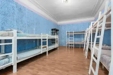 Тапки - 62