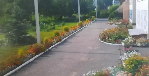 Оазис - 37