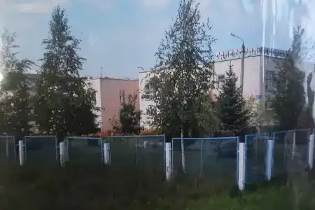 Оазис - 40