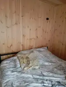 Тайга - 36