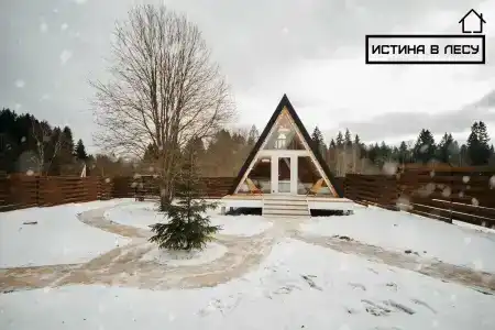 Истина в лесу - 62