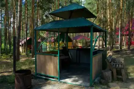 Лесная Дача им Елистратова - 95