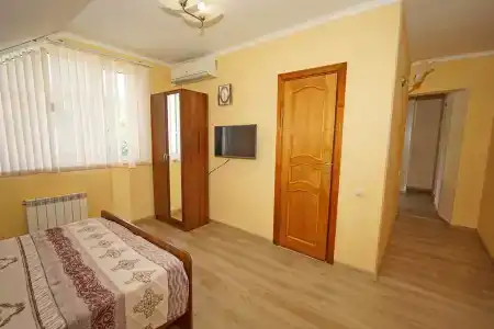 Пальмира - 77