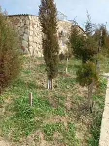 Ксения - 10