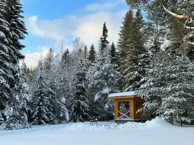 Чайка - 125