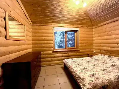Чайка - 88