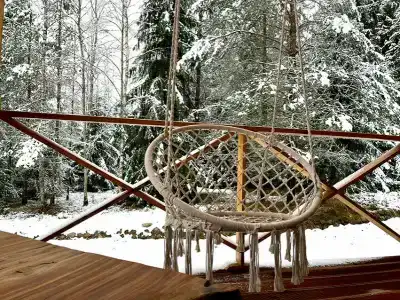 Чайка - 123