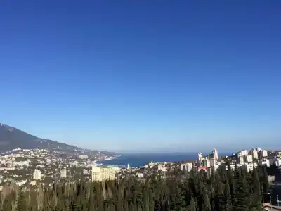 Борода - 74