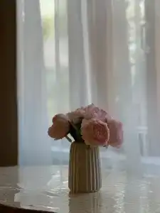 Дом у Звонницы монастыря с баней - 16