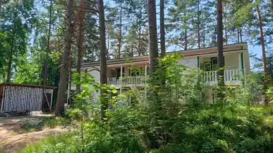 Белая чайка - 39