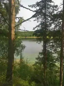 Тимофеевская усадьба - 62