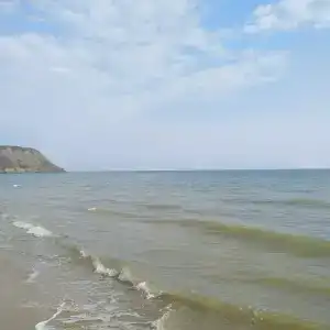 Киви - 11