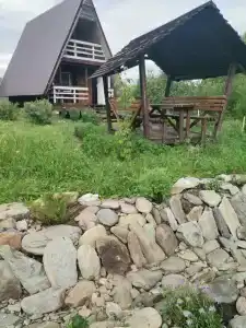 Сентелек - 19