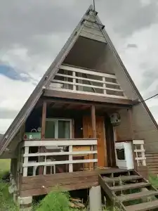 Сентелек - 29