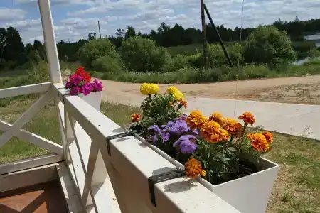 ЭкоМир - 52