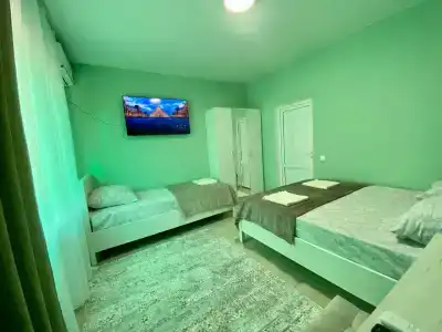 Поющий Колибри - 27