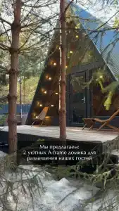 Глэмпинг Лесник в сосновом лесу - 50
