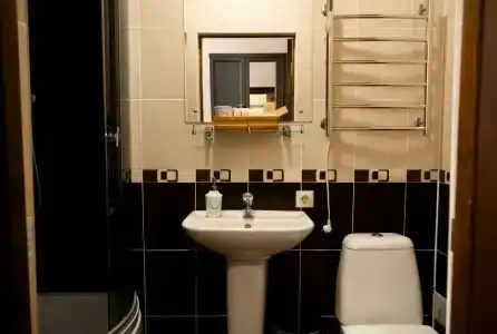 Леонтоподиум - 71