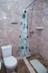 Александровский B - 58
