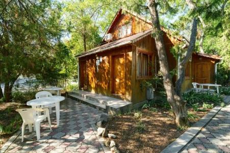 Творческая волна - 54