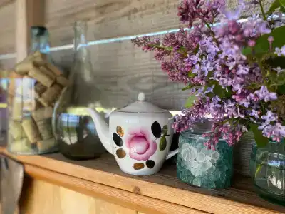 Живой дом - 20