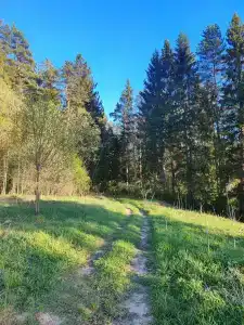 Лукино-Парк - 168