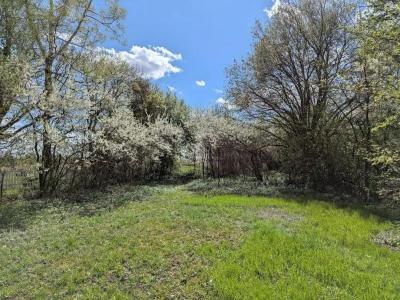 Кибольские соловьи - 76