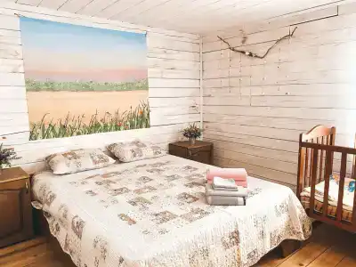 Домики в Веселовке - 51