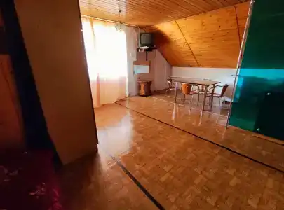 Магнолия - 37